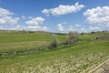 fields planted with agricultural products and natural nature scenery