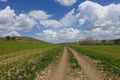 fields planted with agricultural products and natural nature scenery