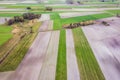 Fields in Poland, Masovia region Royalty Free Stock Photo