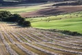 Fields from Queens view in Scotland. Royalty Free Stock Photo