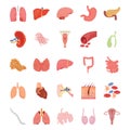 Internal Human Organs Flat Icons