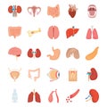 Internal Human Organs Icons