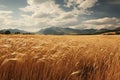 Close View of Fields of Ripened Barley. AI Generated Royalty Free Stock Photo