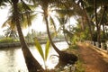 Fields an river Kerala India Royalty Free Stock Photo