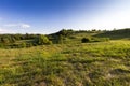 Fields in a rural landscape in an early summer evening, Ohio