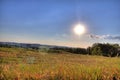 Fields in a rural landscape in an early summer evening, Ohio