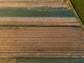 Fields seen from above with tire tracks and tractor tracks after harvesting cabbages next to a dirt road Royalty Free Stock Photo