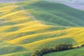 Fields with shadings in the morning light