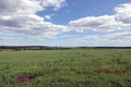 Beautiful countryside landscape with green field, mixed forest at far and white clouds on blue sky in the midday Royalty Free Stock Photo