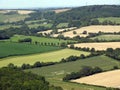 Fields in the South Downs National Park Royalty Free Stock Photo