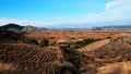 Fields in spring Royalty Free Stock Photo