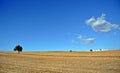 Fields stretch out under the immense sky