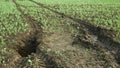 Fields subsoil erosion damage hole pit soil inappropriately managed earth land degradation field. Intensive agriculture Royalty Free Stock Photo