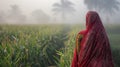 Fields of sugarcane in India make Indian farmers feel happy and proud Royalty Free Stock Photo