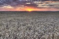Fields and sunsets Royalty Free Stock Photo