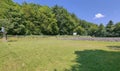 Fields for tennis and basketball with a green lawn against the background of tall trees