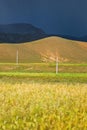 Fields in Tibetan landscape Royalty Free Stock Photo