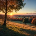 Fields and trees in a green hilly grassy landscape under a blue sky at sunrise in autumn, Voeren, Limburg, Belgium, Royalty Free Stock Photo