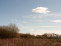 Fields and Trees in the lush outback Royalty Free Stock Photo