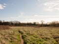 Fields and Trees in the outback Royalty Free Stock Photo