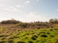 Fields and Trees in the outback in spring Royalty Free Stock Photo