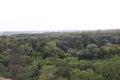 Fields and trees at top view Royalty Free Stock Photo