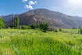 Fields in Turtuk Viilage - Landscape of Nubra Valley in Leh Ladakh, Jammu and Kashmir, India Royalty Free Stock Photo