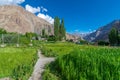 Fields in Turtuk Viilage - Landscape of Nubra Valley in Leh Ladakh, Jammu and Kashmir, India Royalty Free Stock Photo