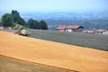 Fields in Val Tidone Piacenza, Italy Royalty Free Stock Photo