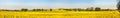 Fields and village Royalty Free Stock Photo