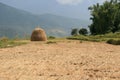 fields in a village (lobesa) - bhutan