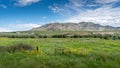 Fields and Vineyards in Canada`s Wine Region of the Okanagen Valley Royalty Free Stock Photo