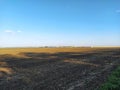 Fields and vineyards in the distance Royalty Free Stock Photo