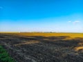 Fields and vineyards in the distance Royalty Free Stock Photo