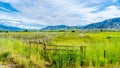 Fields and Vineyards in the Okanagen Valley between Osoyoos and Oliver Royalty Free Stock Photo