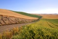 Fields of wheat, barley and soybean along a country road Royalty Free Stock Photo