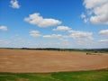 Fields of wheat in summer sunny day. Harvesting bread. Rural landscape with meadow and trees Royalty Free Stock Photo