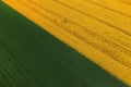 Fields of yellow blooming canola and green wheat seedlings from drone pov, diagonally composed aerial shot of cultivated