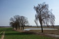 Fieldscape and a tree-lined road south of Olsztyn, Poland