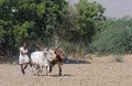 Fieldwork in India