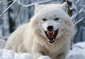 Fierce and angry arctic white wolf in winter landscape with falling snow. AI generated