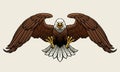 Fierce Bald Eagle Spread the Wings Vector Illustration