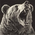 Fierce bear head roaring, its sharp claws raised and teeth bared in a growl, symbolizing raw Royalty Free Stock Photo