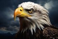 Fierce and Determined: The Majestic Bald Eagle as a Nationalist