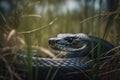 A fierce and intimidating Black Mamba slithering through the grass. Generative AI