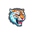 Fierce Jaguar Mascot Logo on White Background .