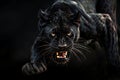 Fierce Panther Poses On Black Background In A Captivating Digital Artwork