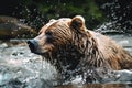 A fierce and predatory grizzly bear fishing in a river Generative AI Royalty Free Stock Photo