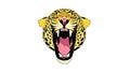 Fierce roaring leopard head illustration with open mouth and sharp teeth in bold yellow and black spots Royalty Free Stock Photo