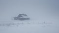 A fierce snowstorm rages on as wind gusts and whiteout conditions obscure the view of a lone cabin ly visible in the